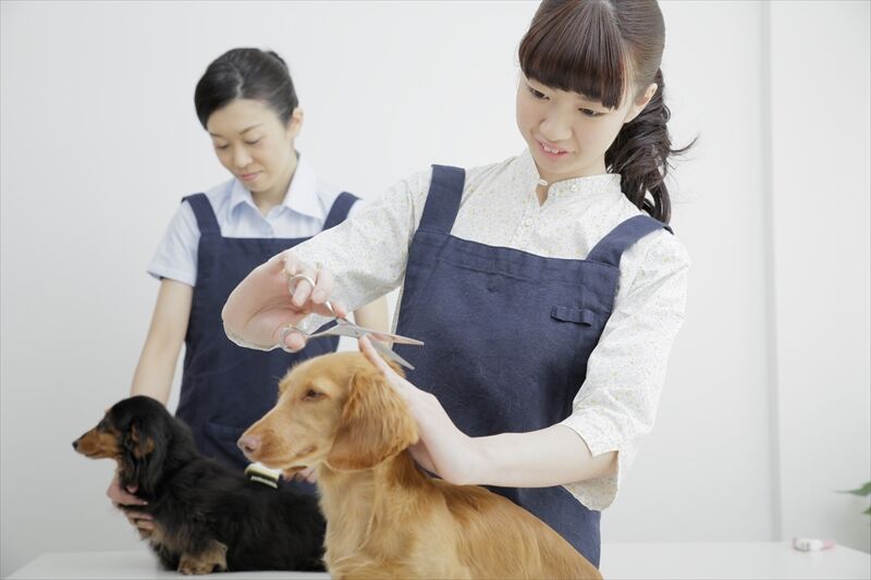 きれいにカットするトリマー