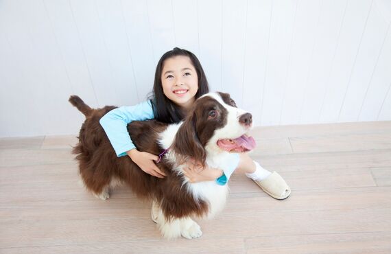 飼い主様の愛犬を安全に預かるペットホテル | ホテル併設の町田のトリミングサロンならPURA VIDA